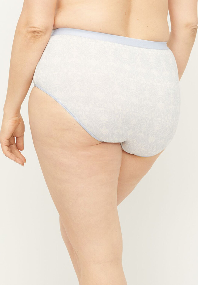 Champion Plus Size Panties for Women for sale