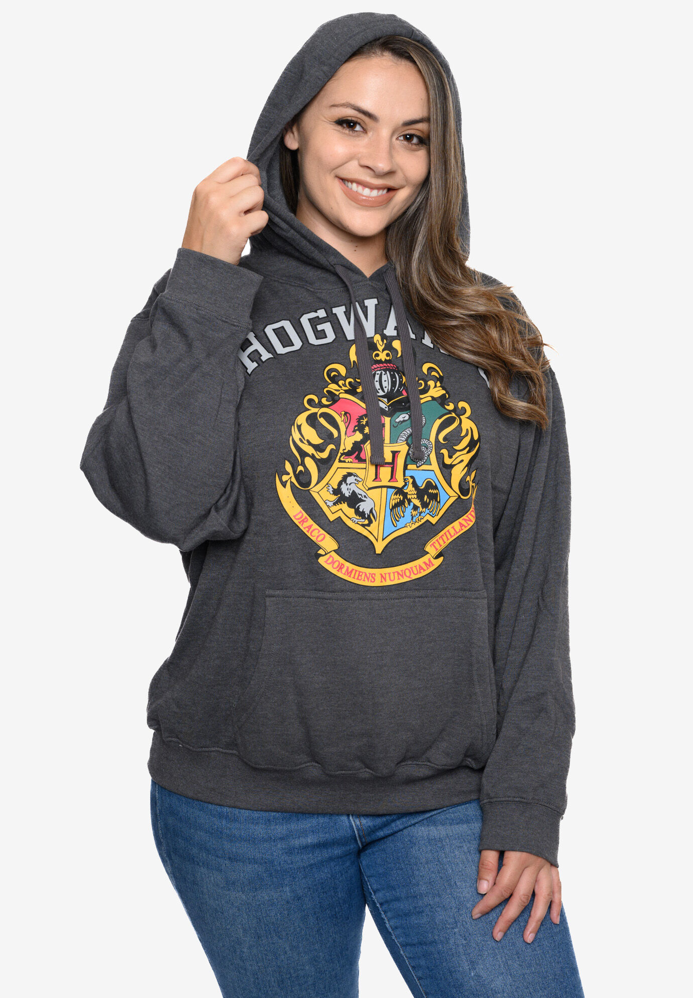 Harry potter 2025 hooded sweatshirt