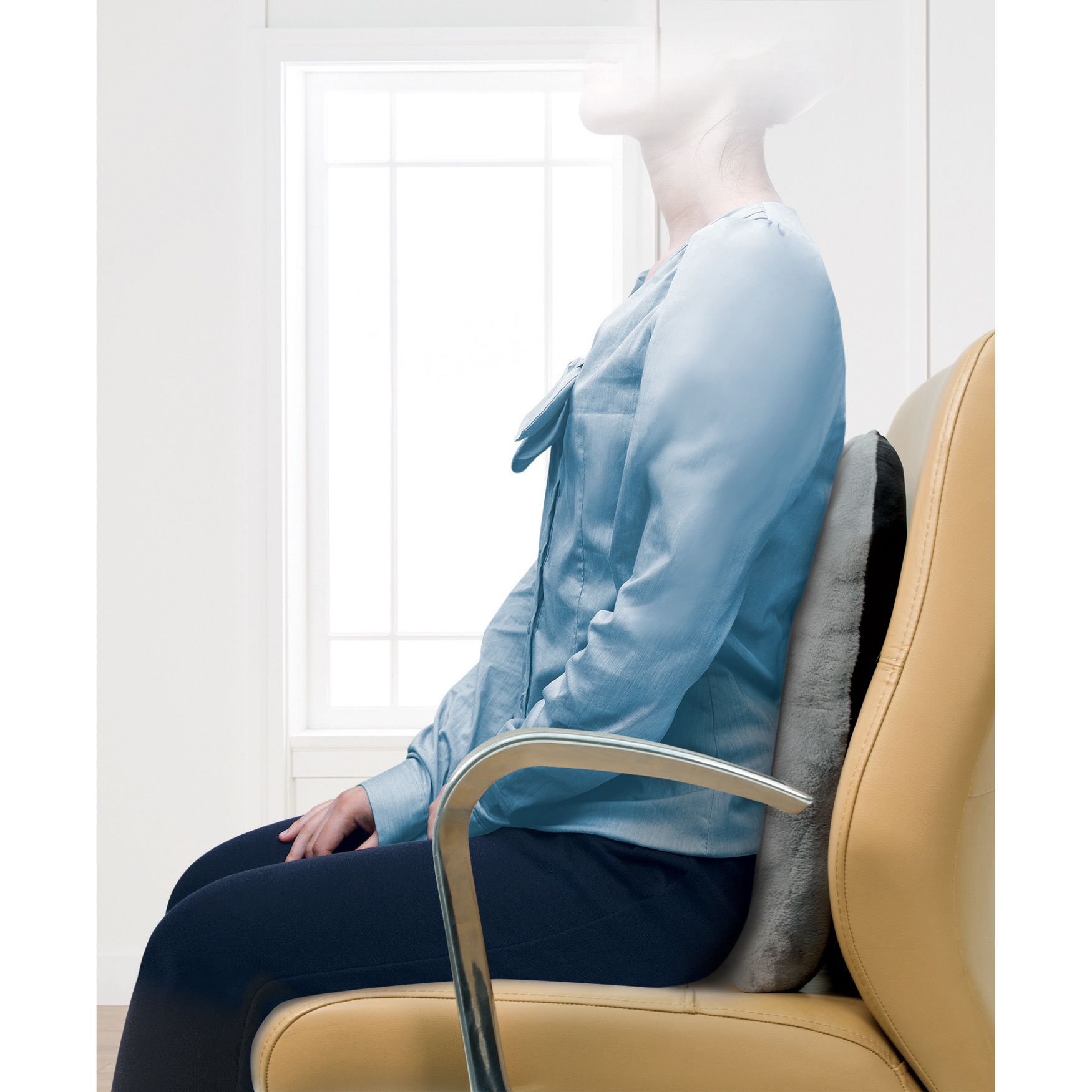 Posture Support Cushion Catherines